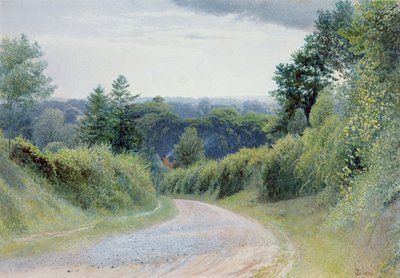 A Warwickshire Lane by Thomas Clack